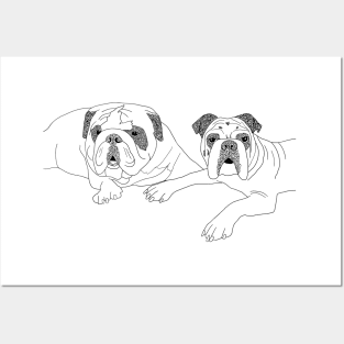 Bulldogs Posters and Art